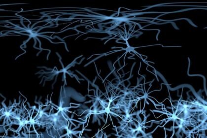 Bacteria, Antibiotics, Health, Infection