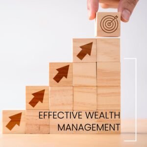 Decoding the ‘Rich Get Richer’ Phenomenon: Causes and Consequences