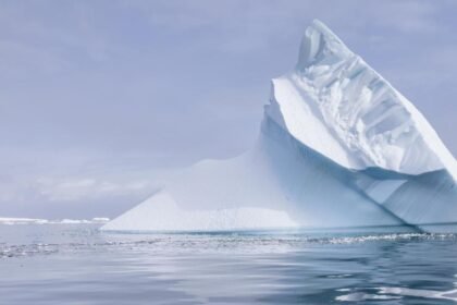 How Do Icebergs Lose Their Salt