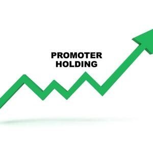 Promoter Holding